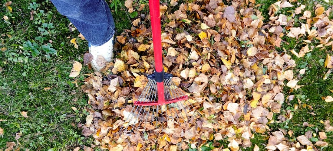 raking-2756006_1280